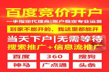 高效SEM托管公司案例对比分析