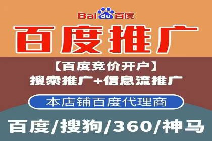 SEM推广公司案例：助力企业实现品牌价值提升